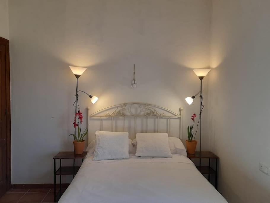 Casa De Las Lavandas, Ávila Buitenkant foto