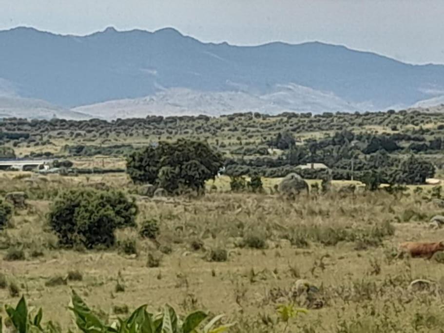 Casa De Las Lavandas, Ávila Buitenkant foto